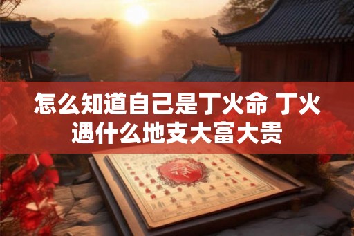 怎么知道自己是丁火命 丁火遇什么地支大富大贵