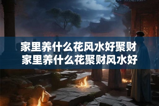 家里养什么花风水好聚财 家里养什么花聚财风水好