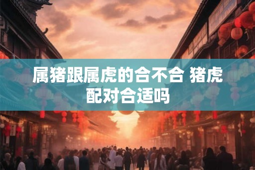 属猪跟属虎的合不合 猪虎配对合适吗 属猪跟属虎的合不合 猪虎配对合适吗