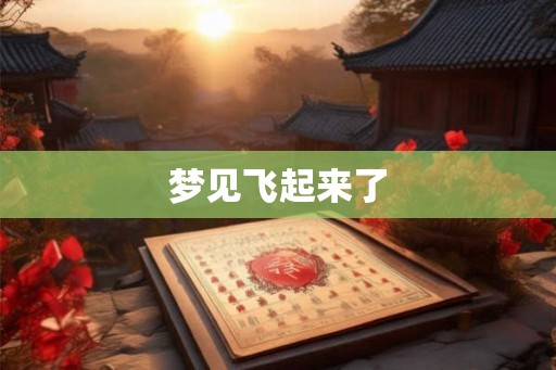 梦见飞起来了