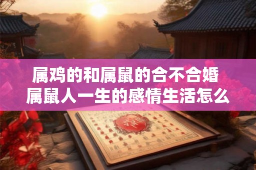 属鸡的和属鼠的合不合婚 属鼠人一生的感情生活怎么样