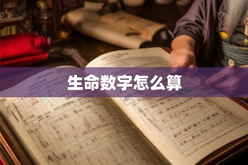 生命数字怎么算