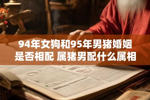 94年女狗和95年男猪婚姻是否相配 属猪男配什么属相好