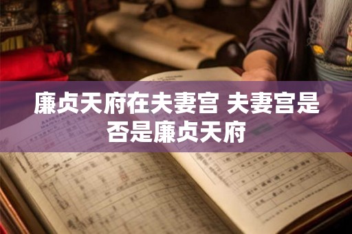 廉贞天府在夫妻宫 夫妻宫是否是廉贞天府