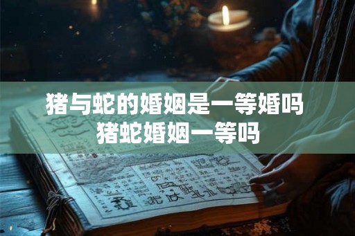 猪与蛇的婚姻是一等婚吗 猪蛇婚姻一等吗