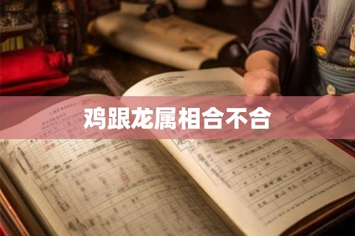 鸡跟龙属相合不合