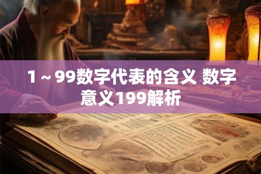 1～99数字代表的含义 数字意义199解析