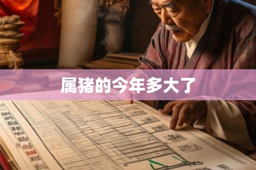 属猪的今年多大了