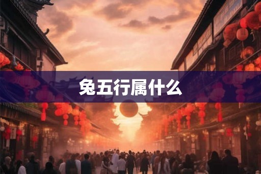 兔五行属什么