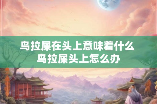鸟拉屎在头上意味着什么 鸟拉屎头上怎么办 鸟拉屎在头上意味着什么 鸟拉屎头上怎么办