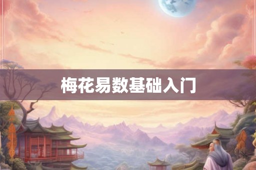 梅花易数基础入门
