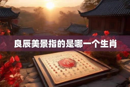 良辰美景指的是哪一个生肖