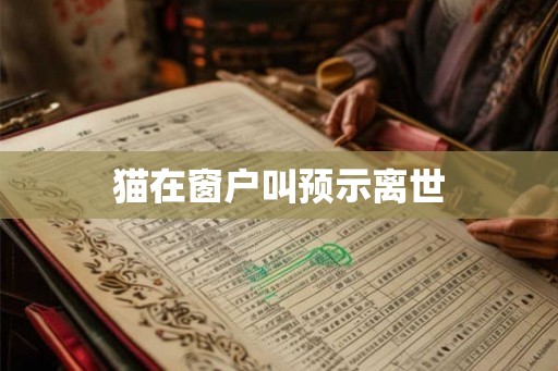 猫在窗户叫预示离世 猫在窗户叫预示离世