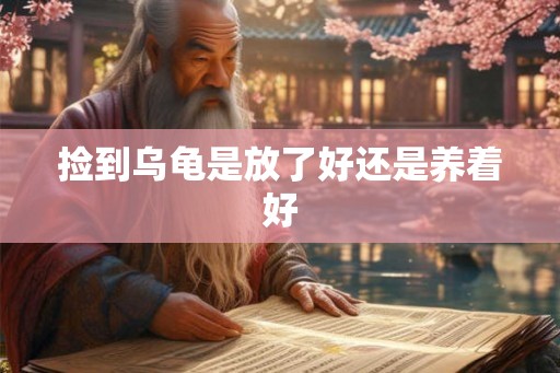 捡到乌龟是放了好还是养着好