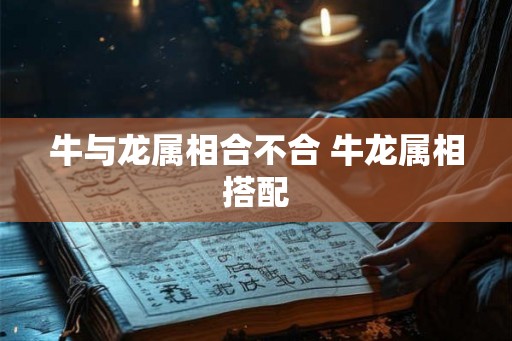 牛与龙属相合不合 牛龙属相搭配