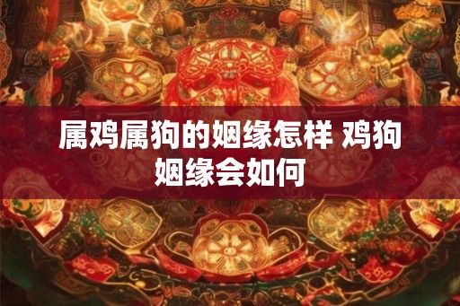 属鸡属狗的姻缘怎样 鸡狗姻缘会如何