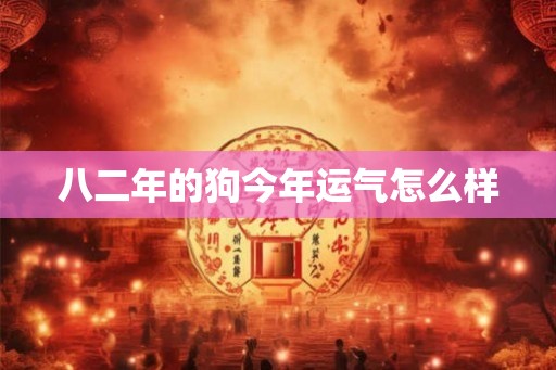 八二年的狗今年运气怎么样
