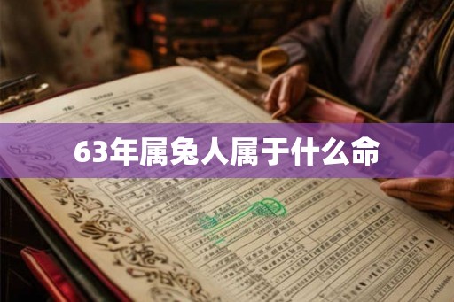 63年属兔人属于什么命