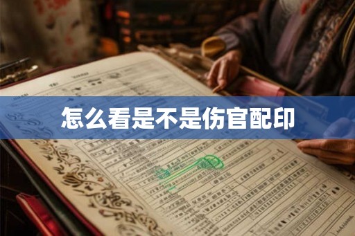 怎么看是不是伤官配印