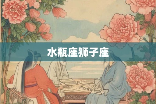 水瓶座狮子座