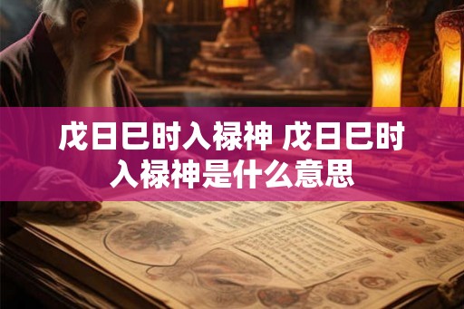戊日巳时入禄神 戊日巳时入禄神是什么意思
