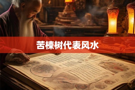 苦楝树代表风水