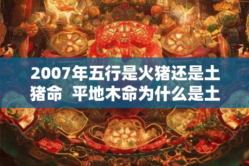 2007年五行是火猪还是土猪命  平地木命为什么是土猪