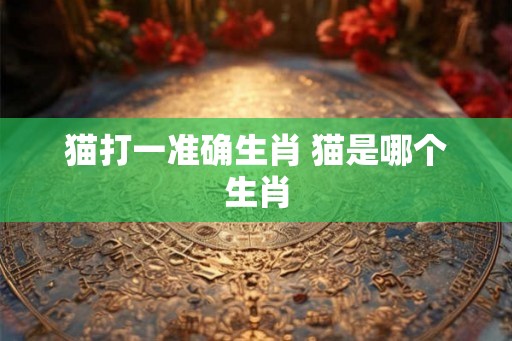 猫打一准确生肖 猫是哪个生肖