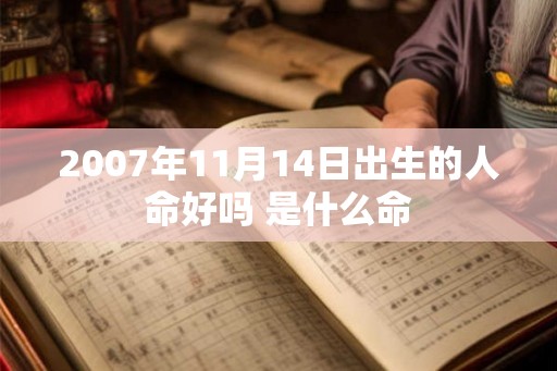 2007年11月14日出生的人命好吗 是什么命