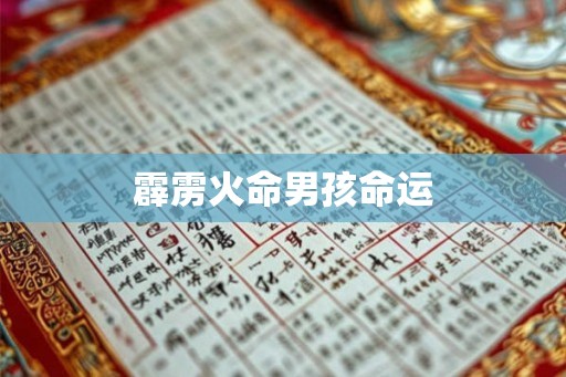 霹雳火命男孩命运