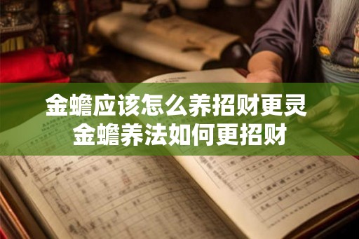 金蟾应该怎么养招财更灵 金蟾养法如何更招财