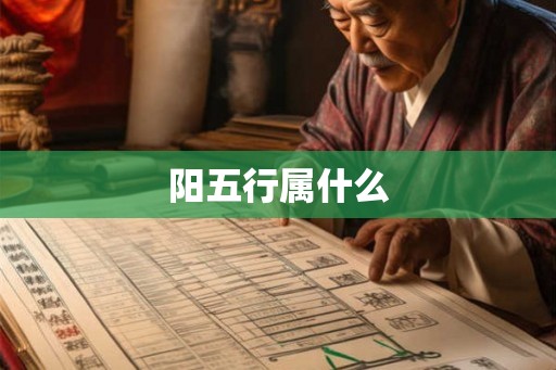 阳五行属什么