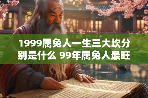 1999属兔人一生三大坎分别是什么 99年属兔人最旺的年龄