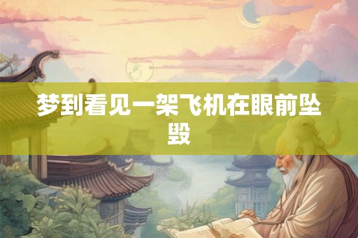梦到看见一架飞机在眼前坠毁