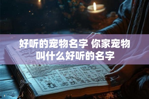 好听的宠物名字 你家宠物叫什么好听的名字