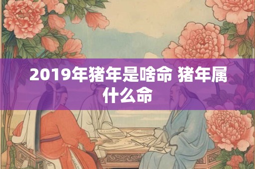 2019年猪年是啥命 猪年属什么命