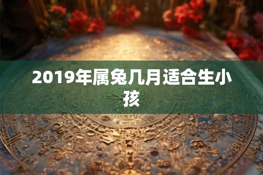 2019年属兔几月适合生小孩
