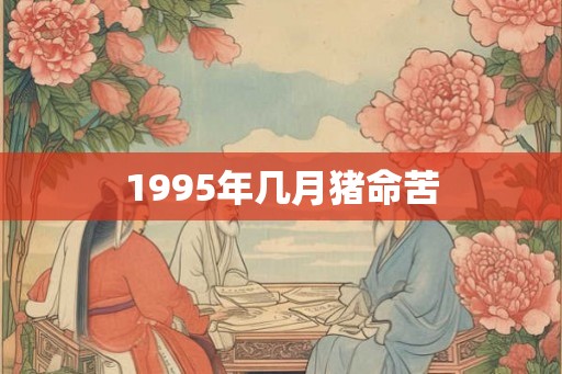 1995年几月猪命苦