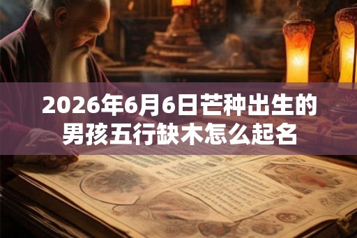 2026年6月6日芒种出生的男孩五行缺木怎么起名