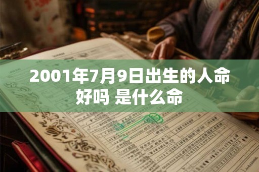 2001年7月9日出生的人命好吗 是什么命
