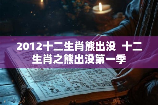 2012十二生肖熊出没  十二生肖之熊出没第一季