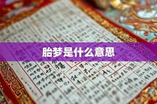 胎梦是什么意思