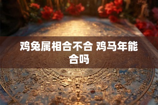 鸡兔属相合不合 鸡马年能合吗