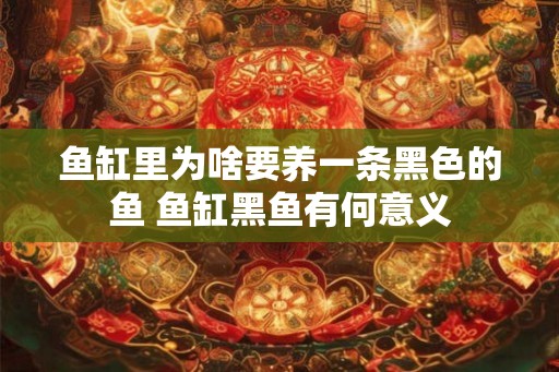 鱼缸里为啥要养一条黑色的鱼 鱼缸黑鱼有何意义