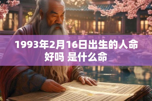 1993年2月16日出生的人命好吗 是什么命