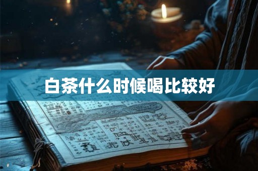 白茶什么时候喝比较好