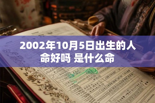 2002年10月5日出生的人命好吗 是什么命