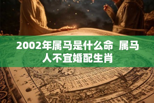 2002年属马是什么命  属马人不宜婚配生肖