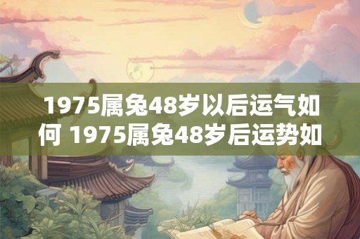 1975属兔48岁以后运气如何 1975属兔48岁后运势如何