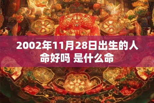 2002年11月28日出生的人命好吗 是什么命